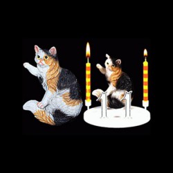 Le chat marbre pour anniversaire