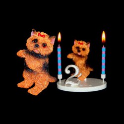 Le chien yorkshire pour anniversaire