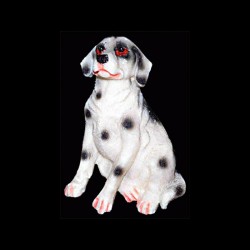 Le chien dalmatien pour anniversaire