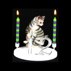 Le chat tigre gris pour anniversaire