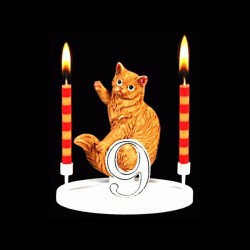 Le chat rouquin pour anniversaire