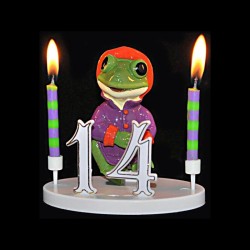La grenouille du bonheur violette pour anniversaire