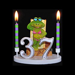 La grenouille Mme Bronze pour anniversaire